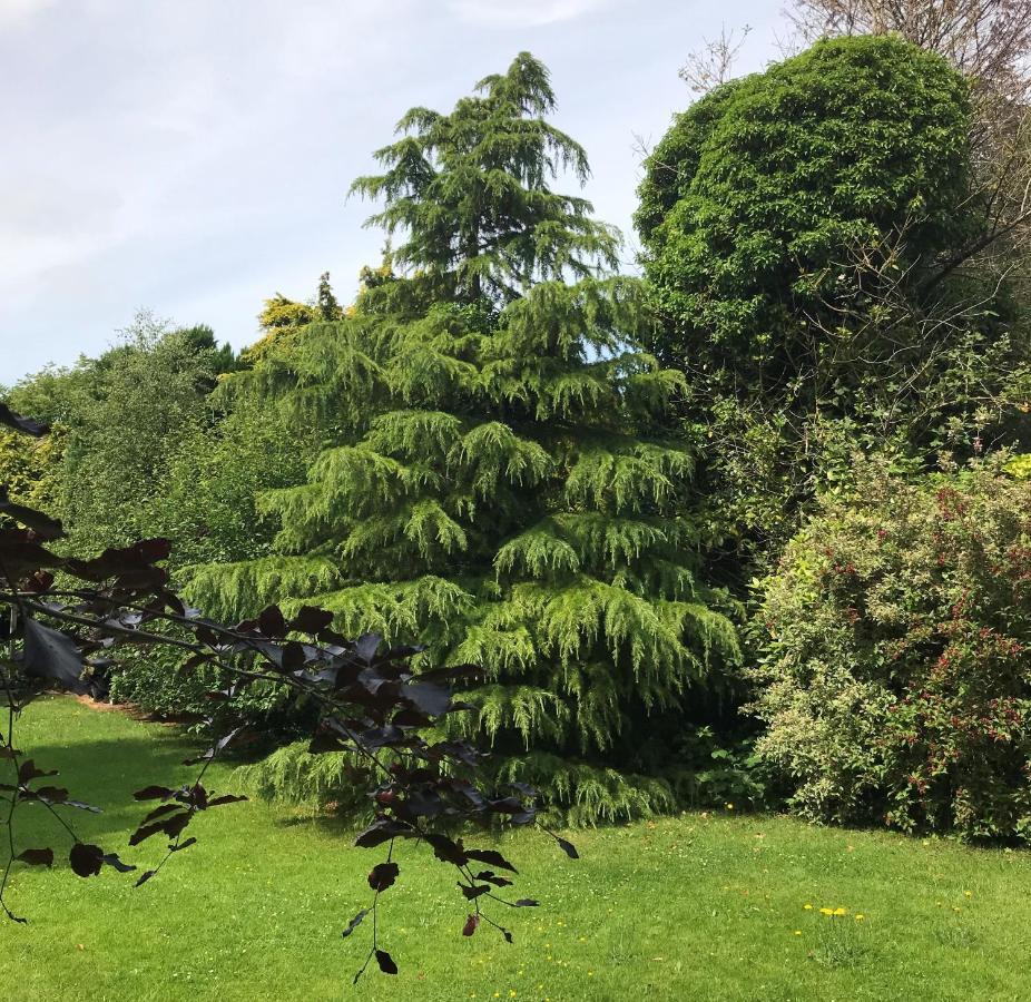 Ashtree House Hotel, Glasgow Airport & Paisley Exteriör bild